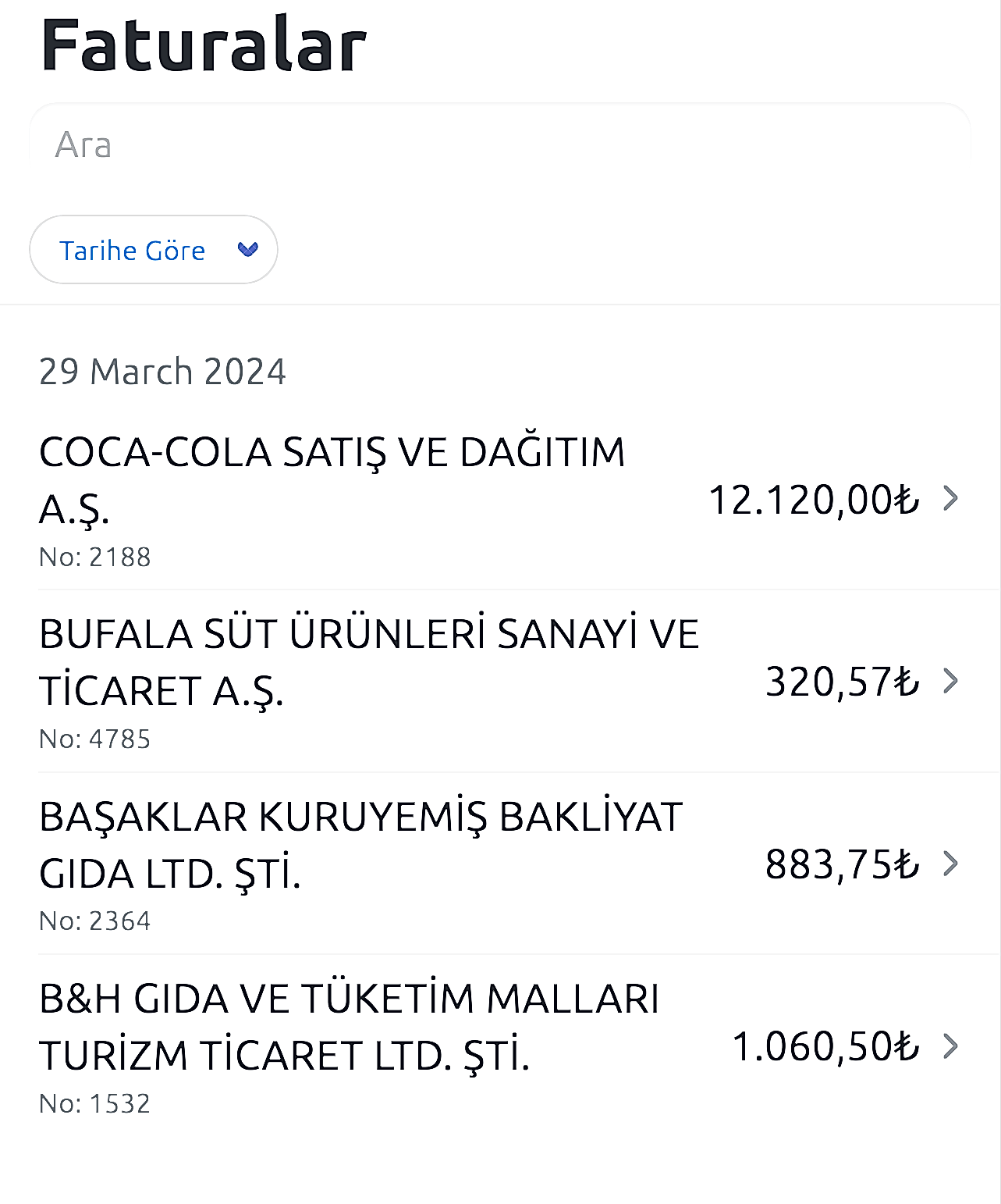 Fatura özeti