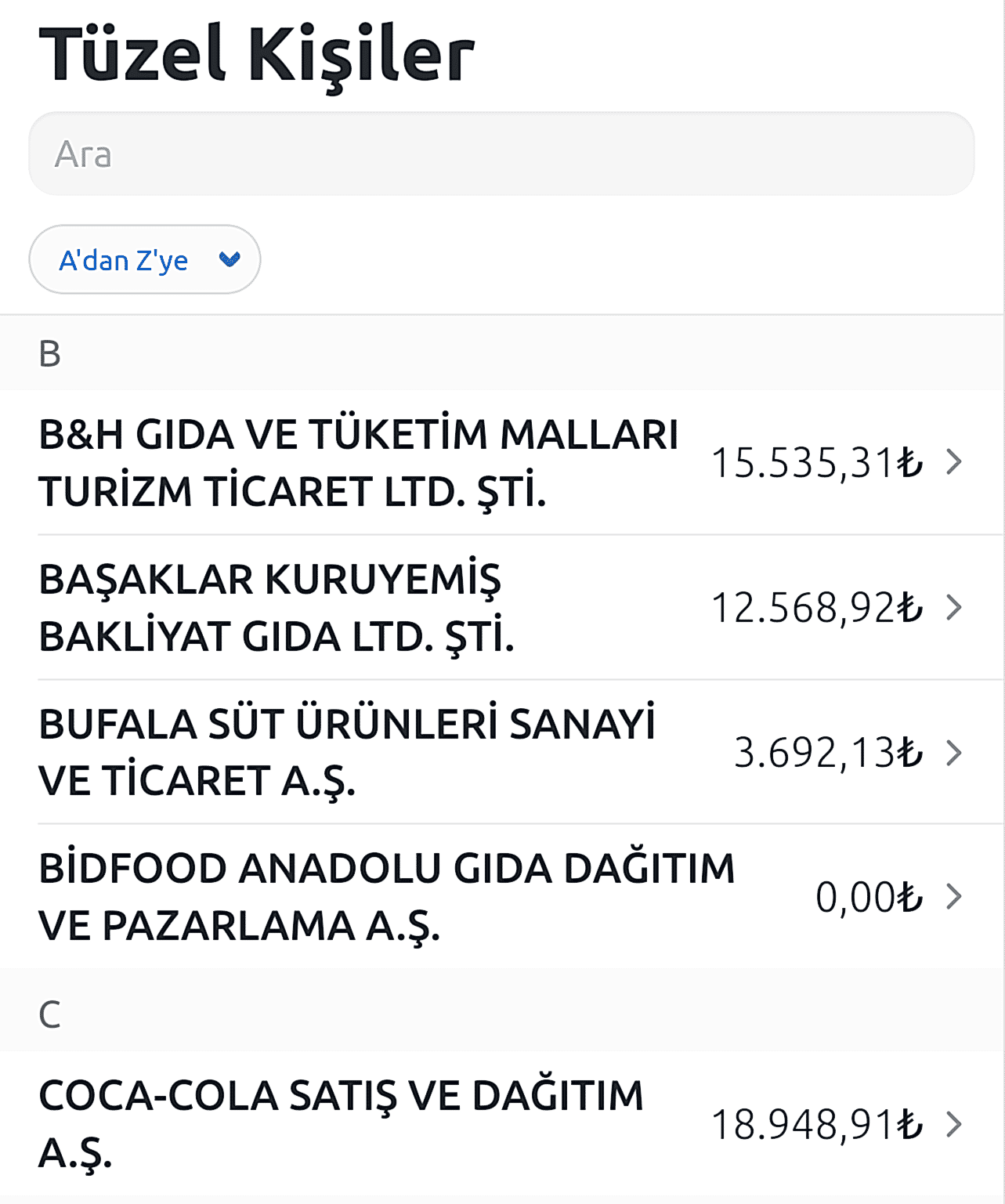 tüzel kişi hesapları